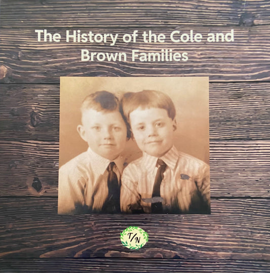 Platinum Package - 160-400 hours of Project Work on 2-4 Family Lines